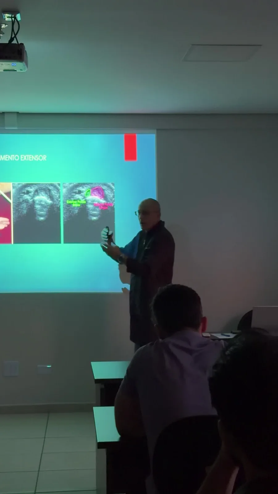 Aula de Ultrassom Musculoesquelético com imagens didáticas
